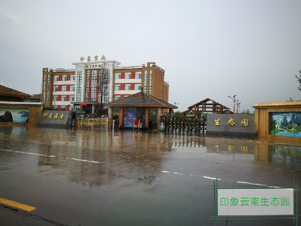 印象雲南生态園電動門案例