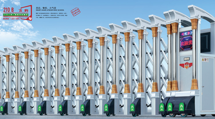 青島(dǎo)電動門廠(chǎng)家哪家比較專業